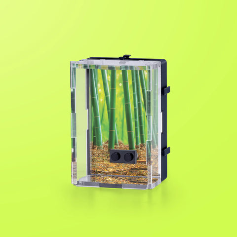 Elemental Green Minifinity Display Case