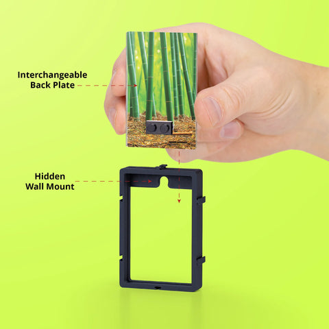 Elemental Green Minifinity Display Case