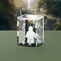 Elf Realm Display Case for LEGO Minifigures