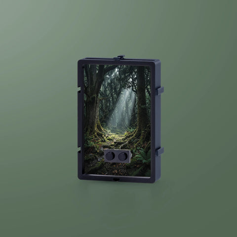 Mystic Trees Minifinity Display Case