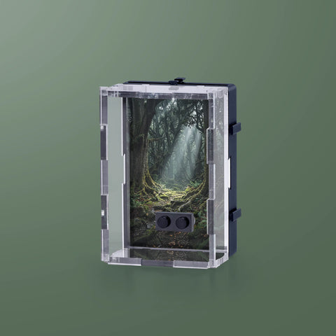 Mystic Trees Minifinity Display Case